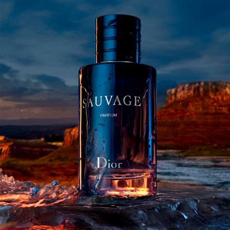 where to buy dior sauavge|Sauvage Parfum .